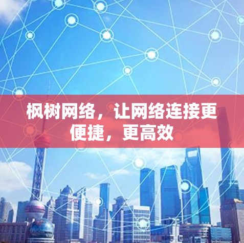 枫树网络，让网络连接更便捷，更高效