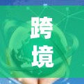 跨境访问工具是指允许不同国家或地区的用户访问同一套应用程序或服务的工具。这些工具在跨国环境中具有重要的应用价值，尤其是在需要跨文化、跨平台访问时。以下是对这一概念的详细分析