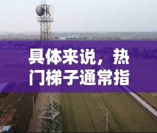 具体来说，热门梯子通常指的是在对冲市场波动性时，选择那些价格波动性较低、市场情绪变化大的资产组合。这些资产可能包括那些价格波动较小、市场情绪波动大的股票、债券、外汇或其他金融产品