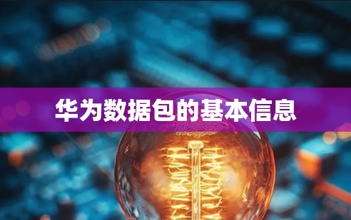 华为数据包的基本信息