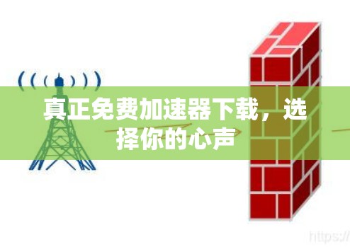 真正免费加速器下载,选择你的心声
