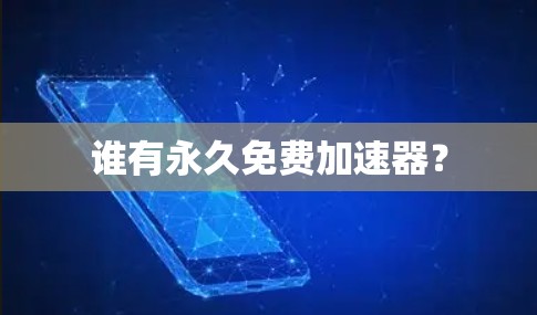 谁有永久免费加速器？