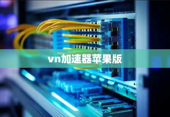 vn加速器苹果版
