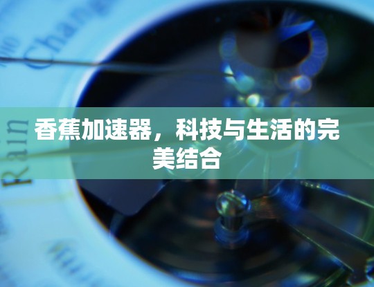 香蕉加速器，科技与生活的完美结合