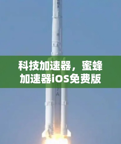 科技加速器，蜜蜂加速器iOS免费版