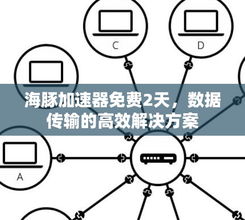 海豚加速器免费2天，数据传输的高效解决方案