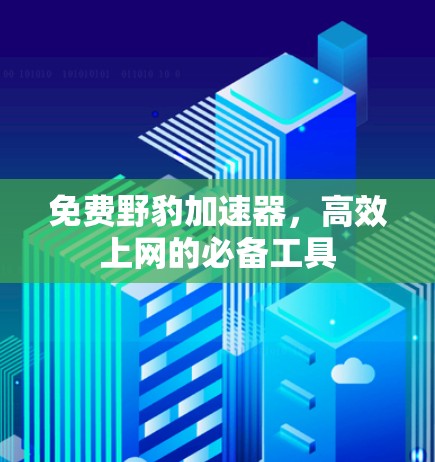 免费野豹加速器，高效上网的必备工具