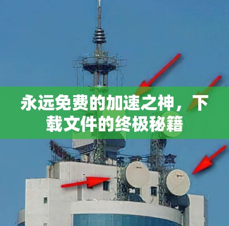 永远免费的加速之神，下载文件的终极秘籍