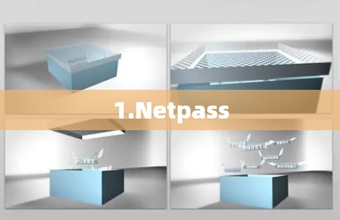 1.Netpass