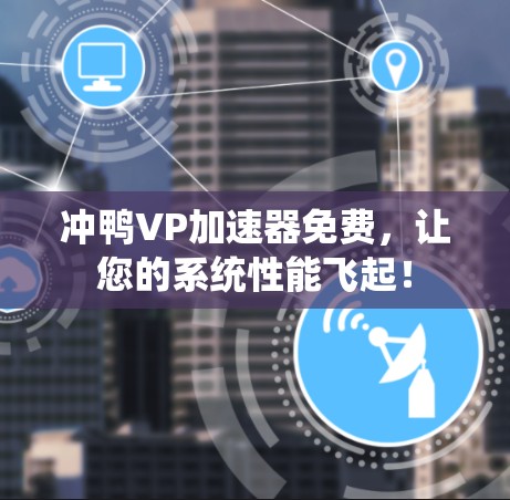 冲鸭VP加速器免费，让您的系统性能飞起！
