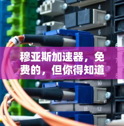穆亚斯加速器，免费的，但你得知道它的免费是什么