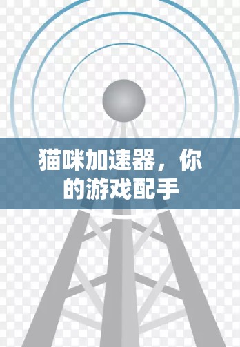 猫咪加速器，你的游戏配手