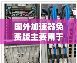 国外加速器免费版主要用于快速下载软件和资源，适合那些主要需要快速下载多类型资源的人。虽然功能上可能有些限制，但可以满足大部分用户的需求。以下是对国外加速器免费版的详细总结