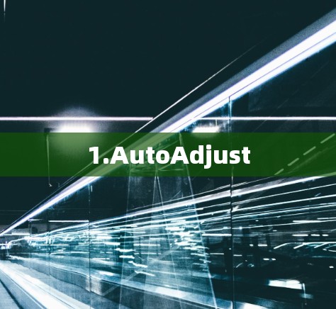 1.AutoAdjust