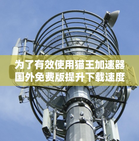 为了有效使用猫王加速器国外免费版提升下载速度，您可以按照以下步骤操作