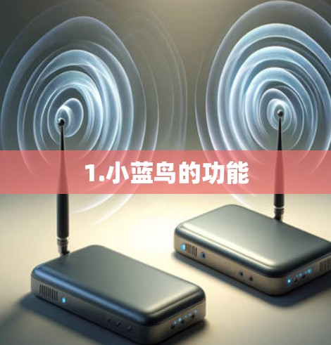 1.小蓝鸟的功能