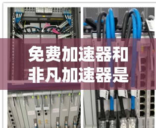 免费加速器和非凡加速器是两种不同的工具，各自适用于不同的场景和需求。以下是它们的区别和特点的总结