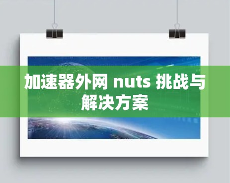 加速器外网 nuts 挑战与解决方案