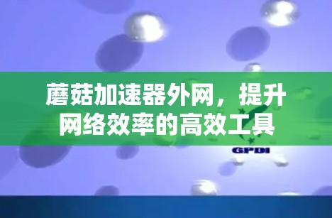 蘑菇加速器外网，提升网络效率的高效工具