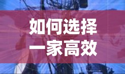 如何选择一家高效可靠的通信外网加速器？