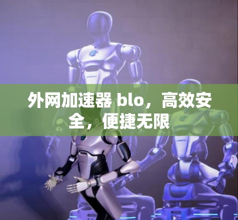 外网加速器 blo，高效安全，便捷无限