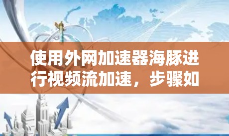 使用外网加速器海豚进行视频流加速，步骤如下