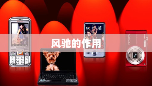 风驰的作用