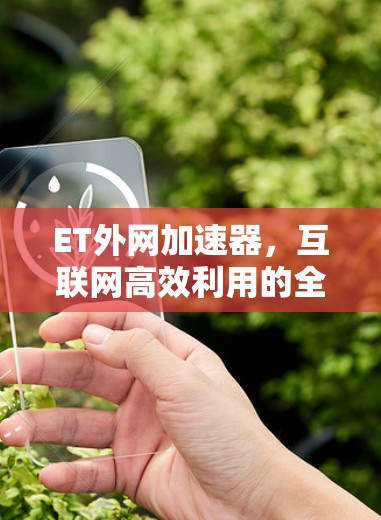 ET外网加速器，互联网高效利用的全能解