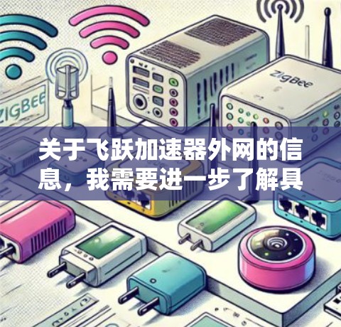 关于飞跃加速器外网的信息，我需要进一步了解具体指的是什么。以下是一些可能的解释