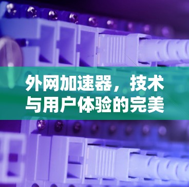 外网加速器，技术与用户体验的完美结合
