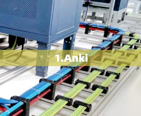 1.Anki