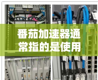 番茄加速器通常指的是使用番茄网加速软件，用于提升网页和下载速度。以下是一些关于番茄加速器外网的常见问题及回答