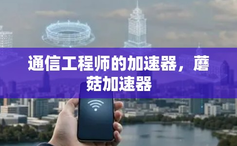 通信工程师的加速器，蘑菇加速器