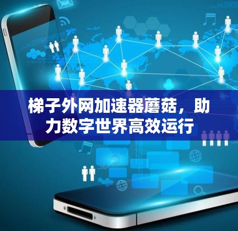 梯子外网加速器蘑菇，助力数字世界高效运行